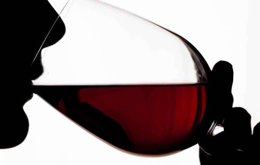 Degustazioni Guidate - Foresta vini